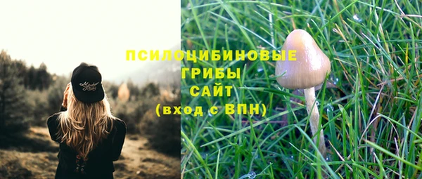 дживик Алзамай