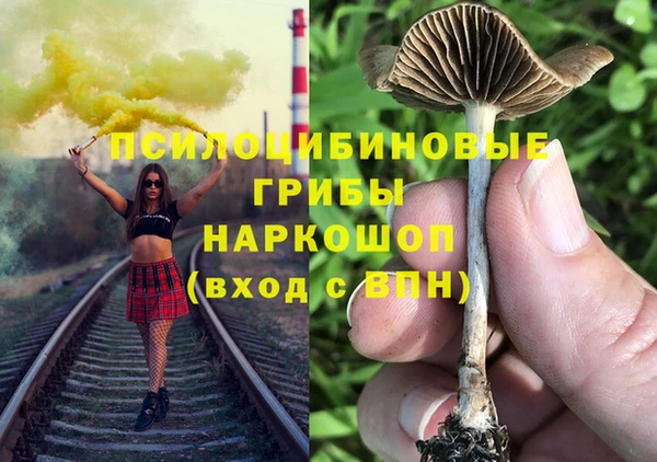 дживик Алзамай